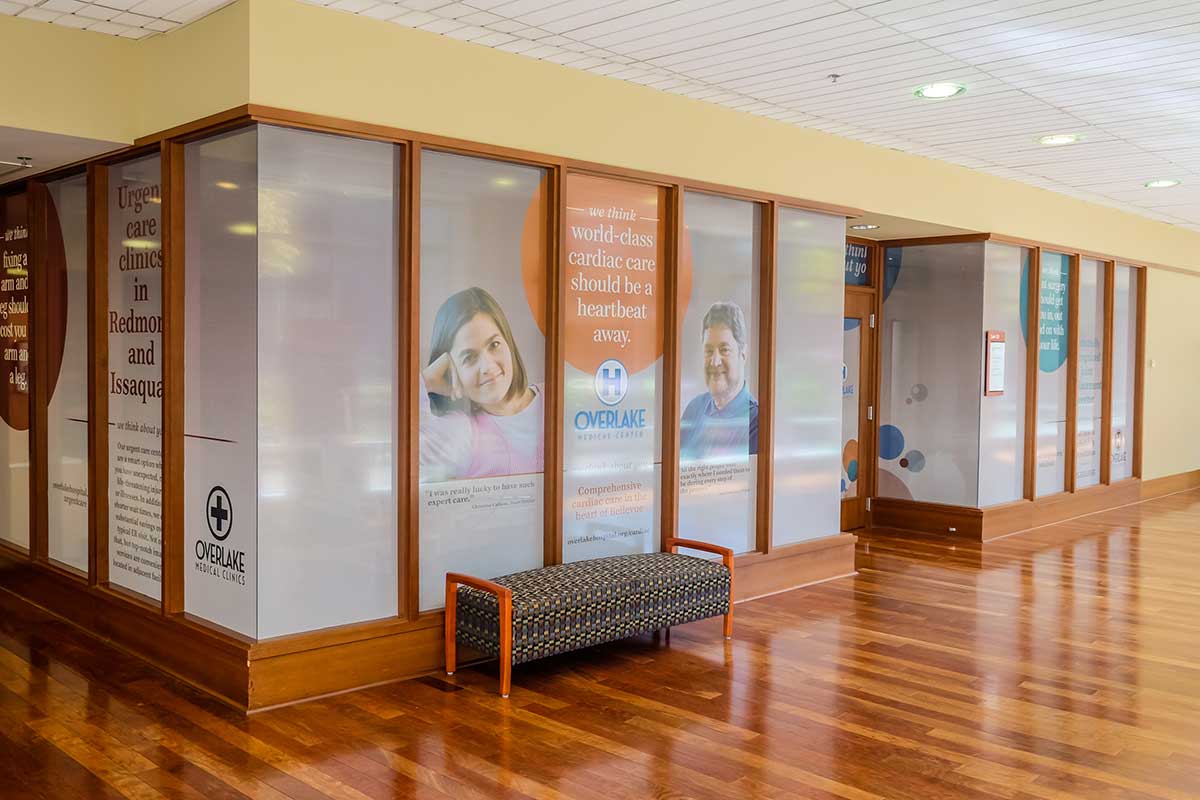 Graphics NW - Window Graphics